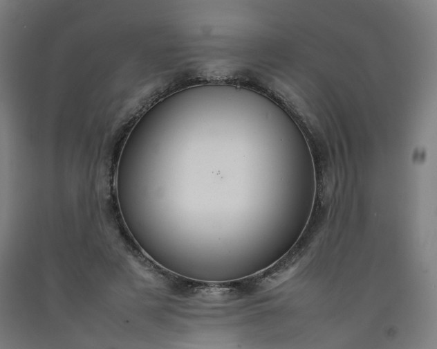 X0000092250497200709281147