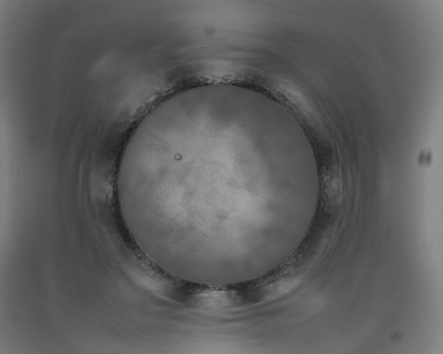 X0000092250499200709281147