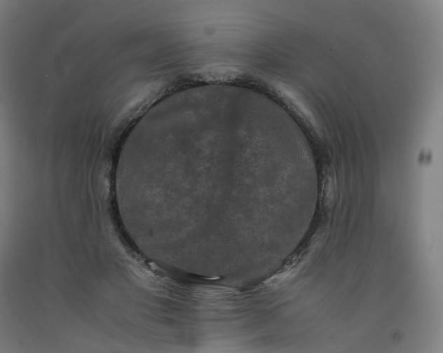 X0000092250501200709281147