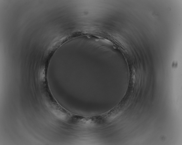 X0000092250502200709281147