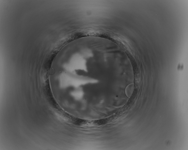 X0000092250503200709281147