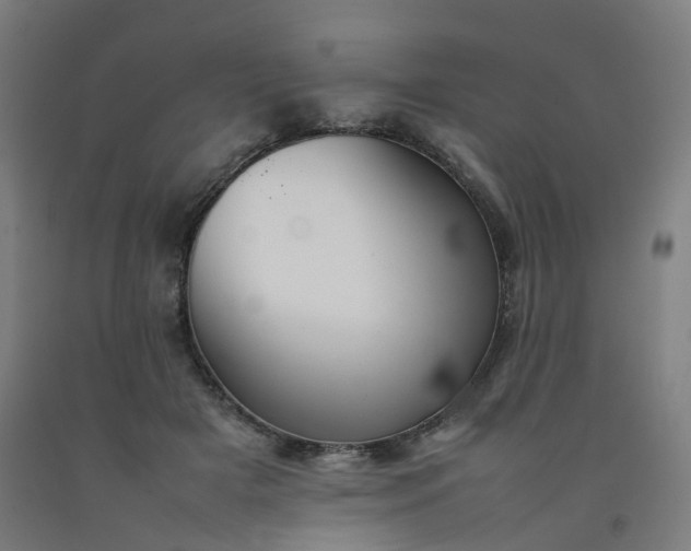 X0000092250505200709281146