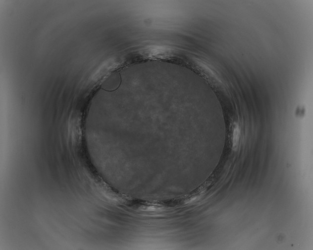 X0000092250506200709281146