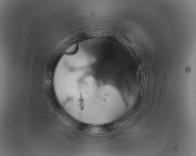 X0000092250507200709281146