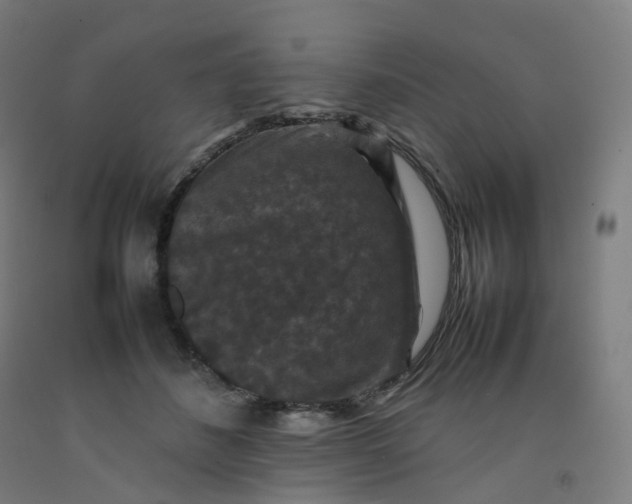 X0000092250508200709281146