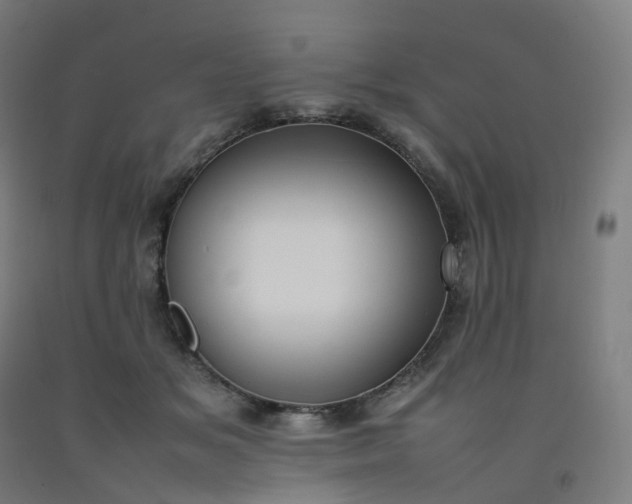 X0000092250509200709281146