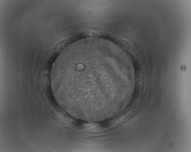 X0000092250511200709281146