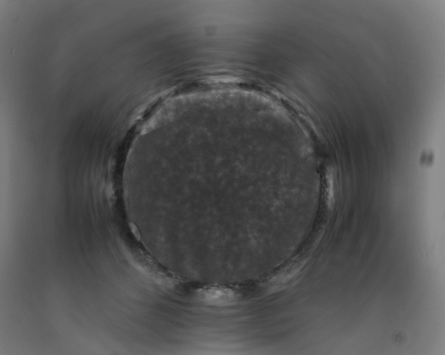 X0000092250512200709281146