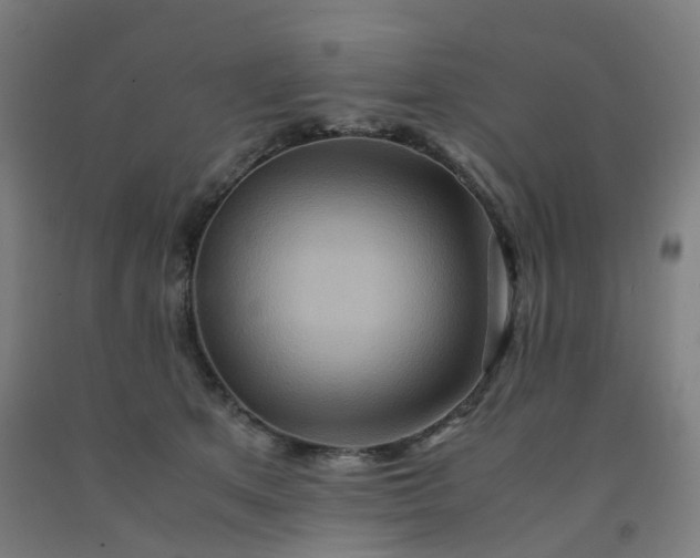 X0000092250513200709281146