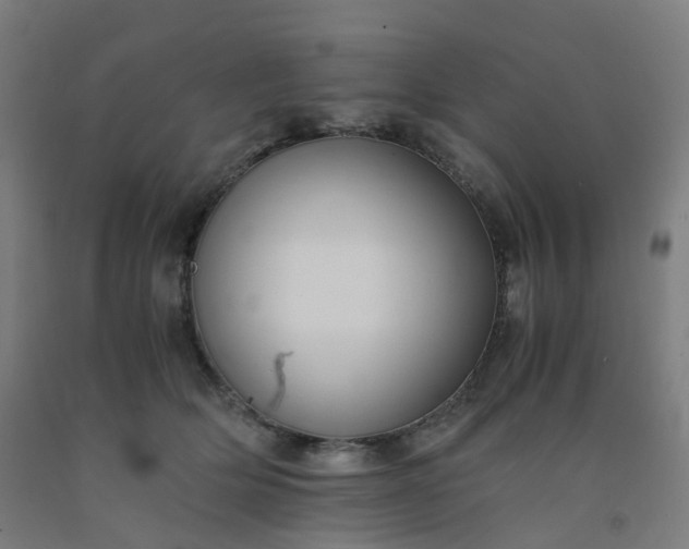 X0000092250514200709281146