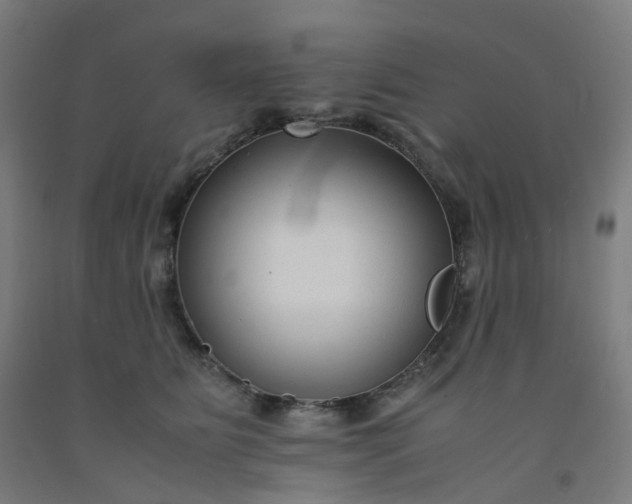 X0000092250515200709281146