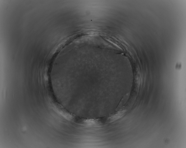 X0000092250516200709281146