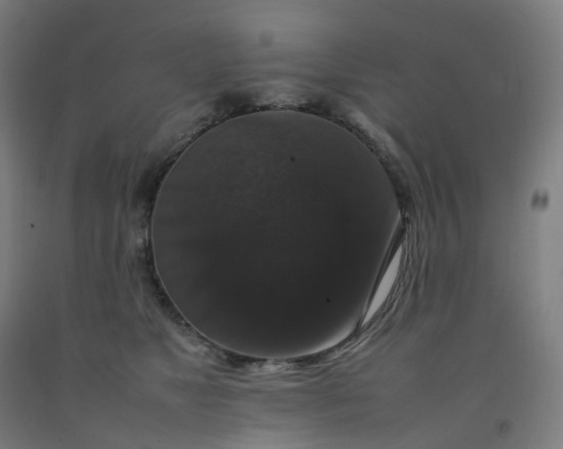 X0000092250517200709281146