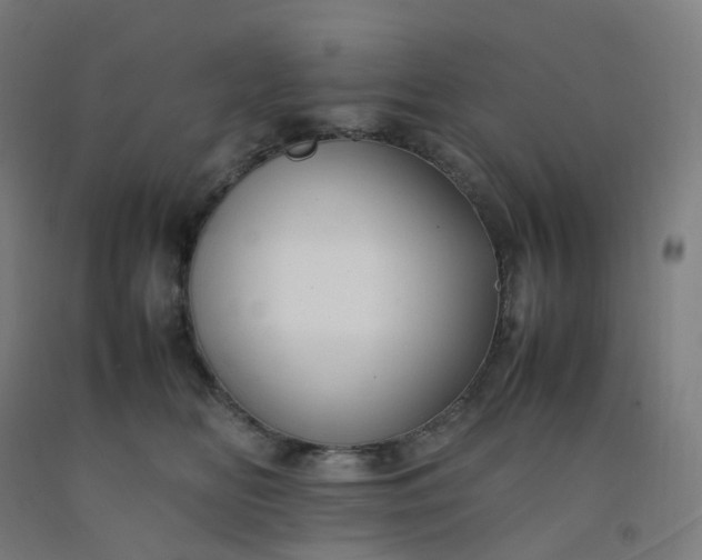 X0000092250518200709281146