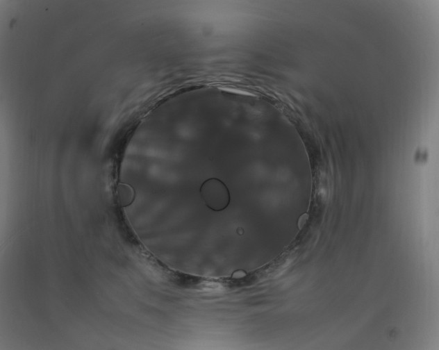 X0000092250519200709281146