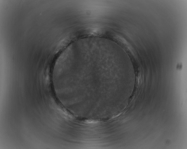 X0000092250520200709281146