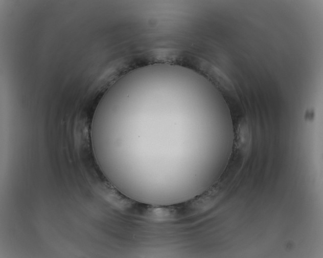 X0000092250522200709281146