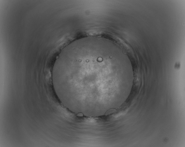 X0000092250523200709281146