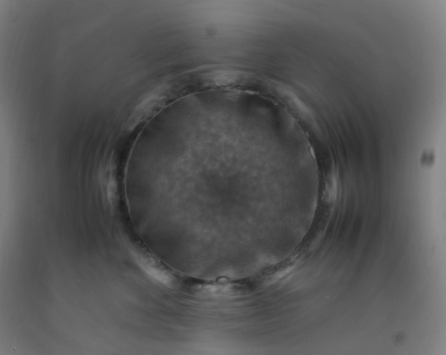 X0000092250524200709281146