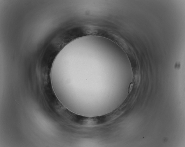 X0000092250525200709281146