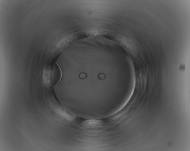 X0000092250526200709281146