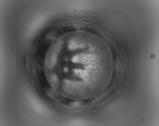 X0000092250527200709281146