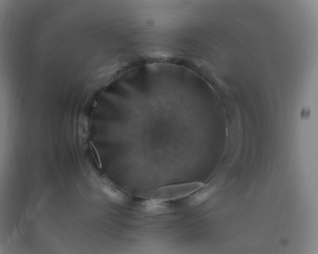 X0000092250528200709281146