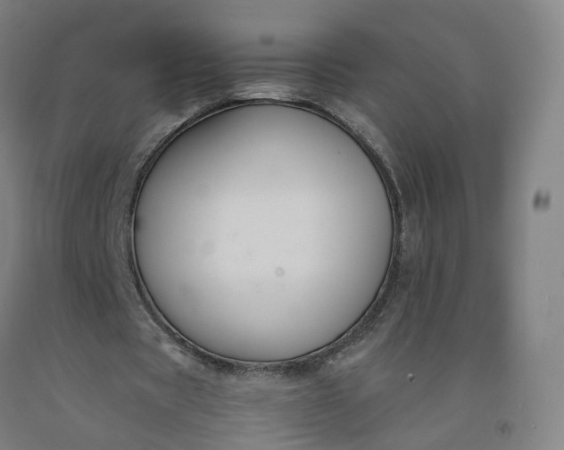 X0000092250529200709281145