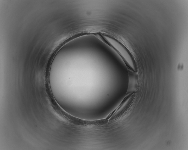 X0000092250530200709281145