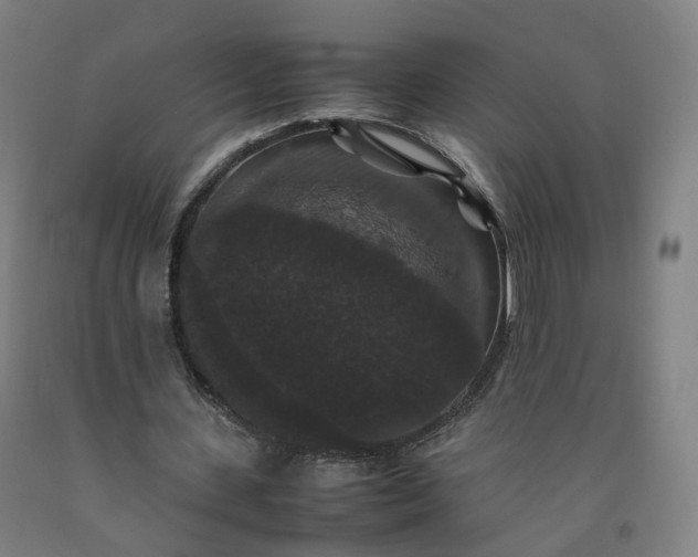 X0000092250531200709281145