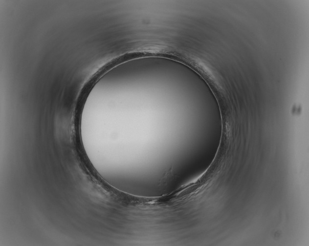 X0000092250532200709281145