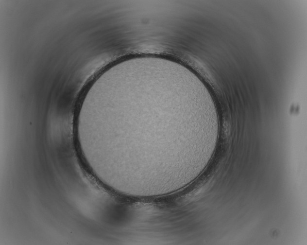 X0000092250534200709281145