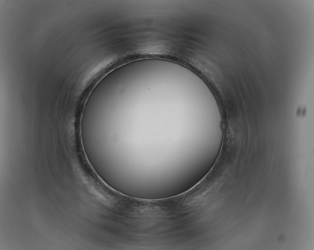 X0000092250535200709281145