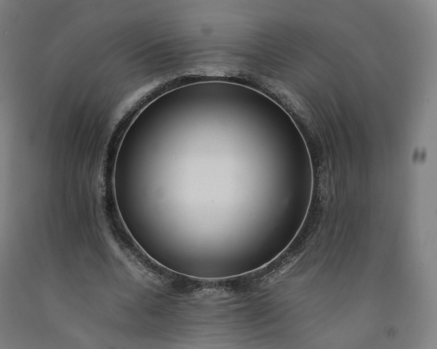 X0000092250536200709281146