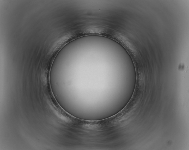 X0000092250537200709281146