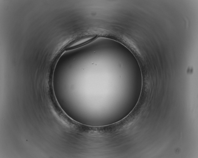 X0000092250538200709281146