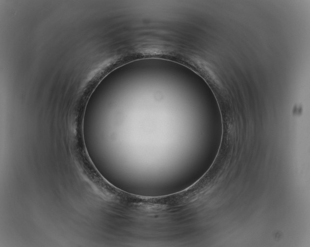 X0000092250539200709281146