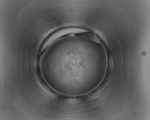 X0000092250540200709281146