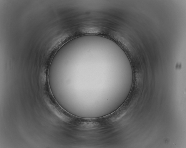 X0000092250541200709281146