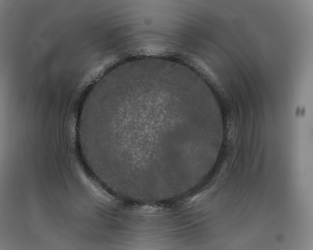 X0000092250542200709281146