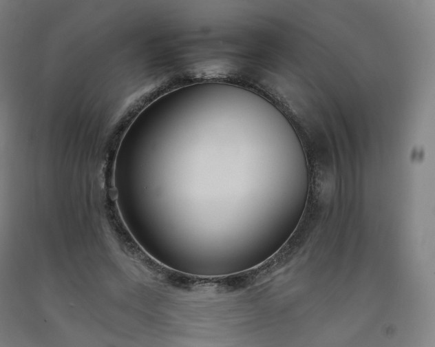 X0000092250543200709281146