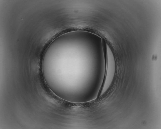 X0000092250544200709281146