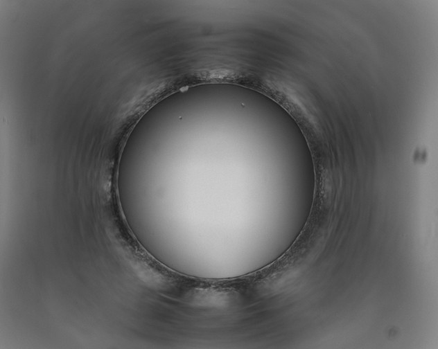 X0000092250545200709281146