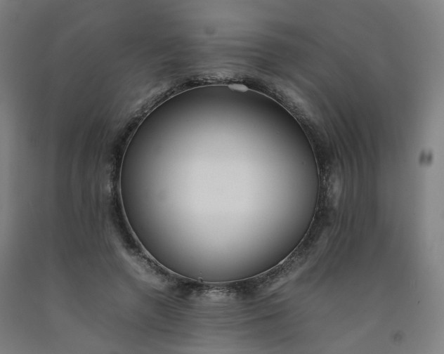 X0000092250546200709281146