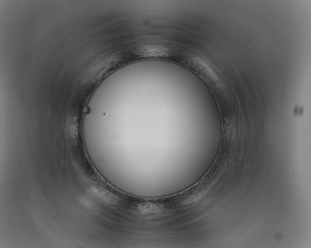 X0000092250549200709281146