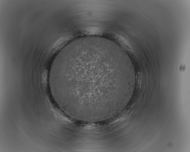 X0000092250550200709281146