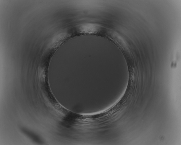 X0000092250551200709281146