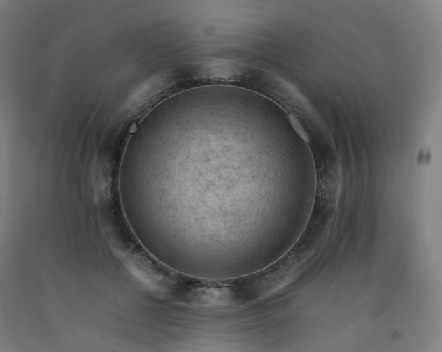 X0000092250552200709281146