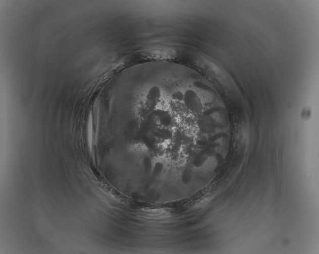 X0000092250553200709281146