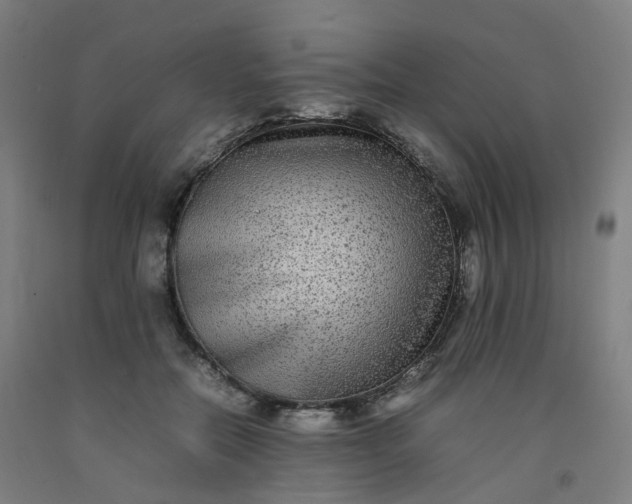 X0000092250554200709281146